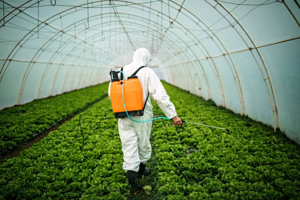 Trusted Rolesville, NC Pest Control Experts