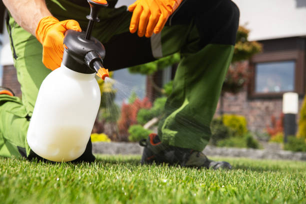 Best Flea Control Services  in Rolesville, NC