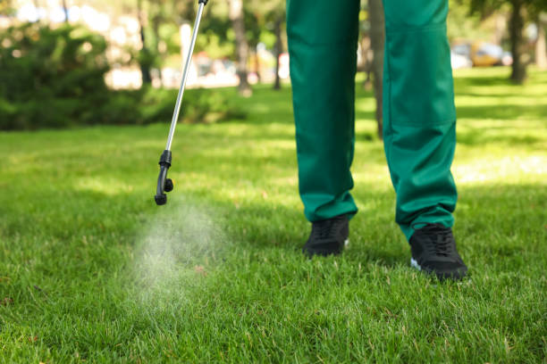 Best Ant Control Services  in Rolesville, NC