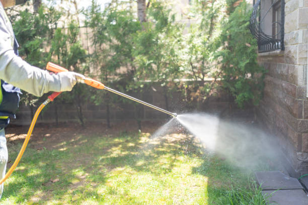 Best Local Pest Control Services  in Rolesville, NC