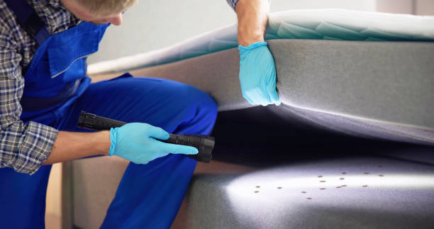 Best Wasp Removal Services  in Rolesville, NC
