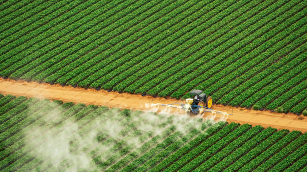 Best Insect Control  in Rolesville, NC