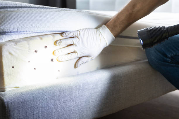Best Pest Inspection Near Me  in Rolesville, NC