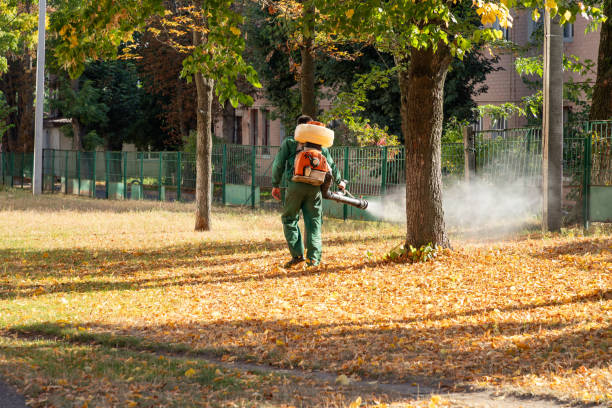 Best Affordable Pest Control Services  in Rolesville, NC