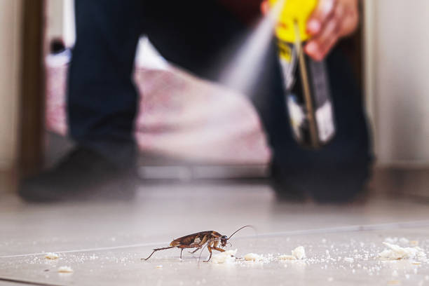 Best Pest Control Treatment  in Rolesville, NC