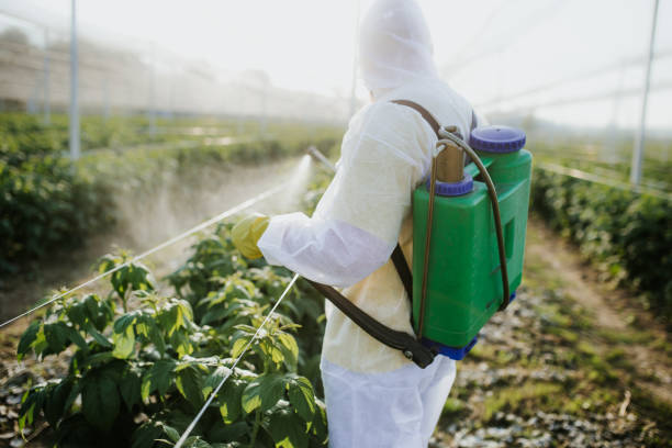 Best Pest Prevention Services  in Rolesville, NC